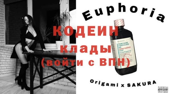 амф Кодинск