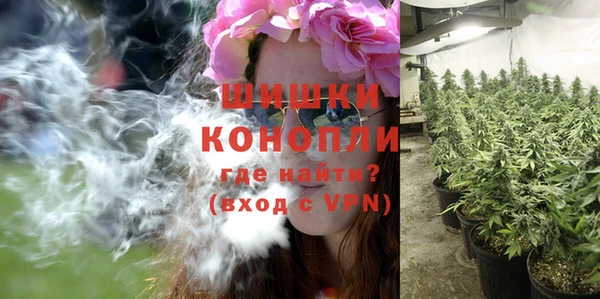 ешки Козельск