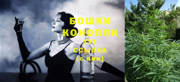 прущий лед Козловка