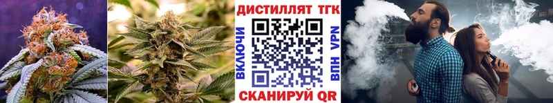 Купить  Карпинск  Дистиллят ТГК концентрат 